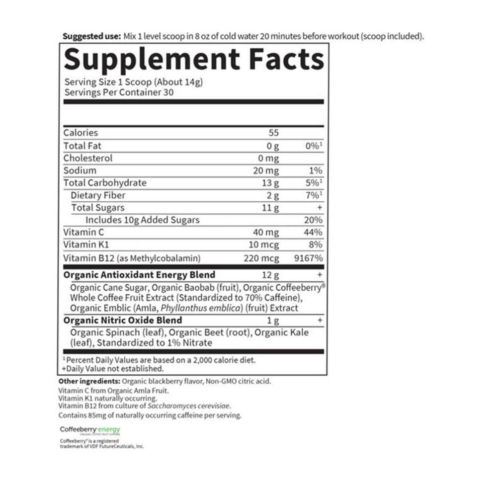 Garden of Life Sport Organic Plant-Based Energy + Focus Blackberry 432g Powder thumbnail 2