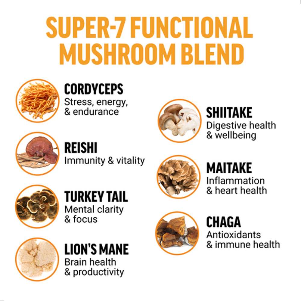 Force Factor Modern Mushrooms Unflavored Powder – 75g (30 Servings) thumbnail 2