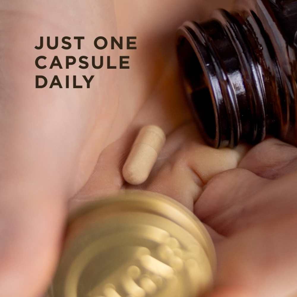Solgar Memory Support 30 Capsules thumbnail 2