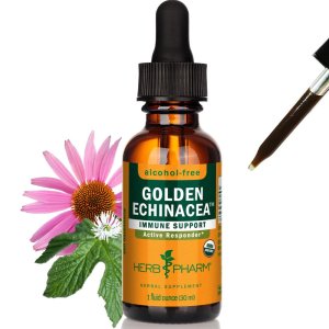 Herb Pharm Golden Echinacea – Alcohol-Free Immune Support | Herbal Supplement (30ml)