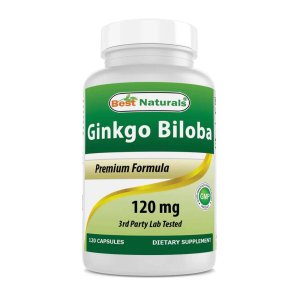 Best Naturals Ginkgo Biloba 120 mg 120 Capsules