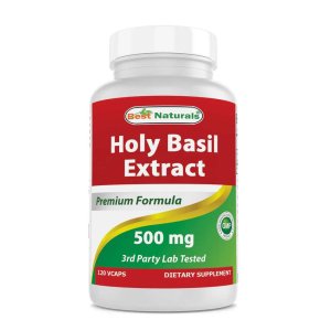 Best Naturals Holy Basil Extract 500 mg 120 Vegetarian Capsules